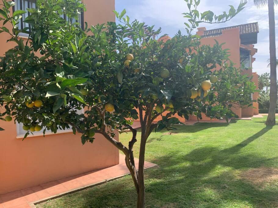 Schoenes Penthouse Mit Meerblick Pura Vida Bahia de Casares Екстериор снимка